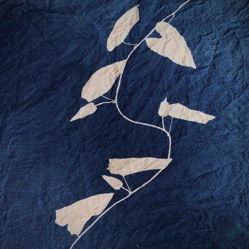 Anhang: Foto einer Cyanotypie (Fotogramms auf Stoff) 
Ranke einer Zaunwinde, Daniela Nowitzki 2024